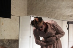 Le Delirium du papillon 004 * 5184 x 3456 * (6.02MB)